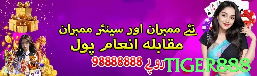 tiger888 Pakistan - 3